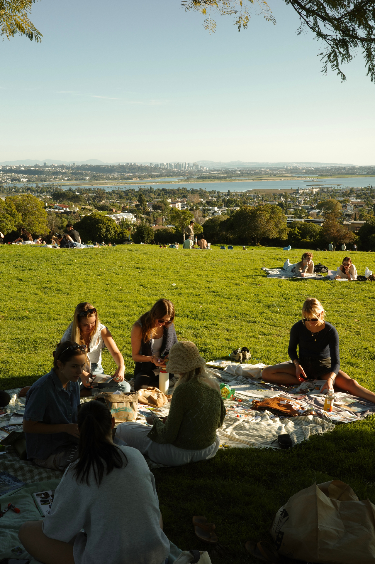 Picnic on a grassy hill overlooking the city