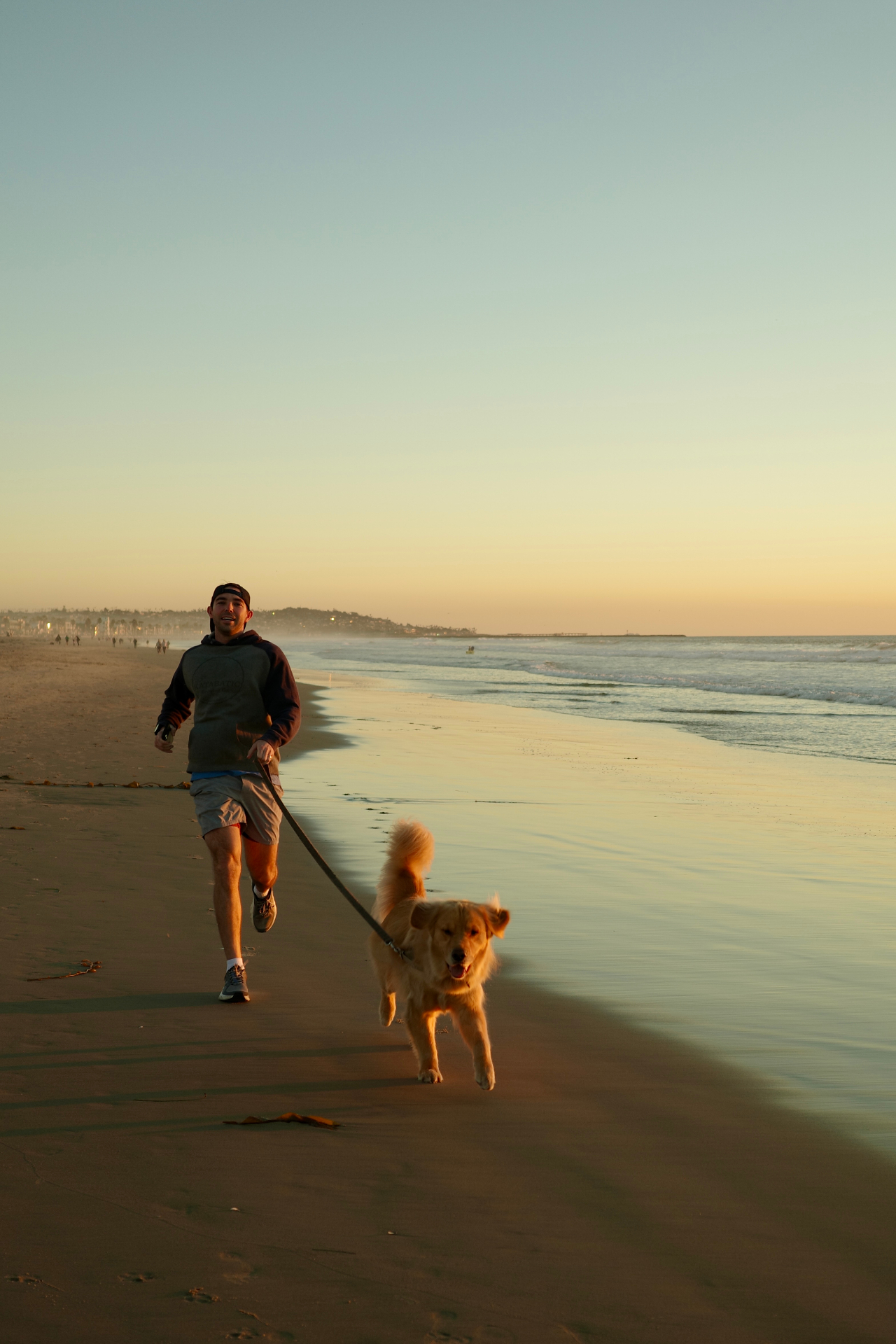 Running on the beach with a golden retriever