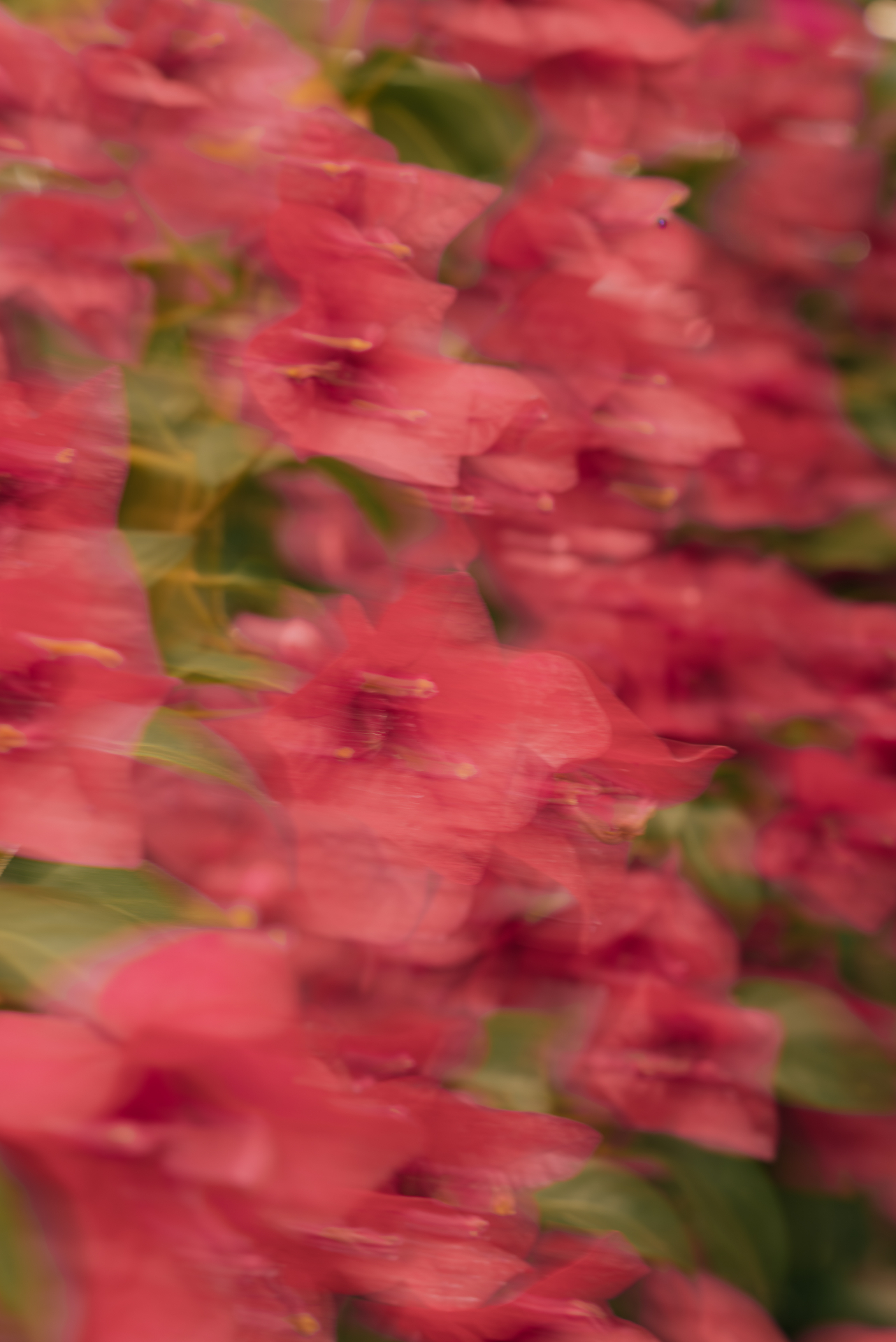 FLOWER PAINTING