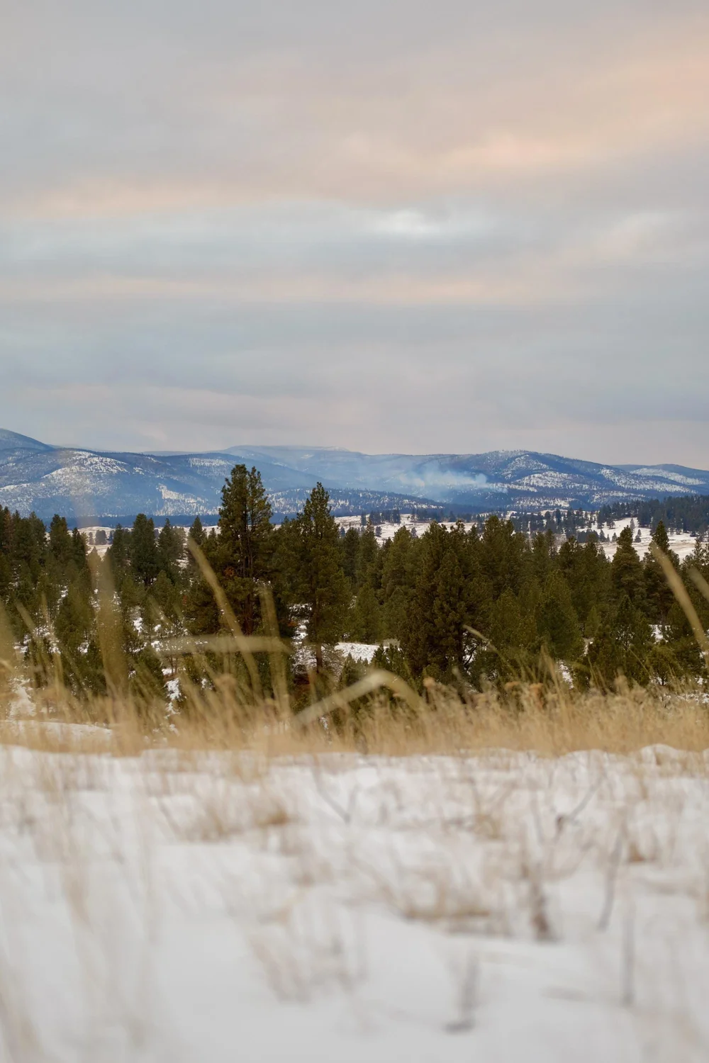 Landscapes